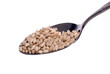 Wheat