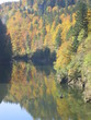 Pêche sur le Doubs