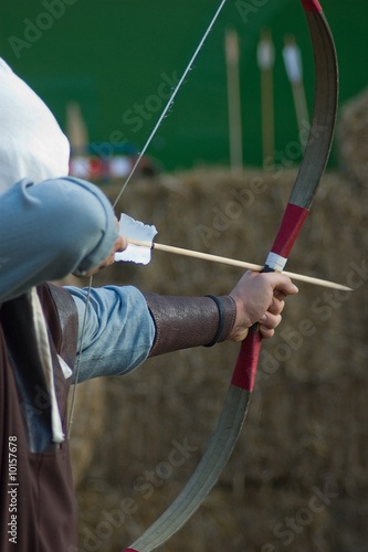 Photo: Robin_02 Robin_02