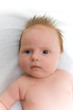 Photo en ligne au meilleur prix Sweet baby