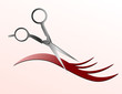 Scissors Cutting Hair Strand Scissors Cutting Hair Strand