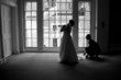 Wedding couple silhouetted Wedding couple silhouetted