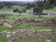 dehesa d'extemadure