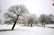 Winters scene
