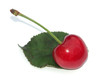 cerise sur feuille