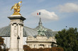 Grand Palais Pont Alexandre III Paris