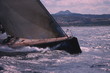 Segelboot Segelboot
