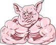 Hard Hog