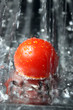 Tomatendusche