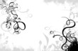 illustrations design