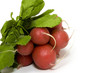 Photo: The bunch of radishes on white background The bunch of radishes on white background