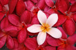 Spa and wellness image