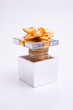 box to gift and coin on the white background
