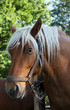 cheval