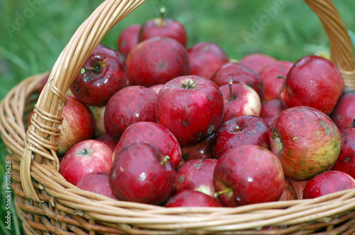 Äpfel im Korb Äpfel im Korb