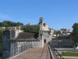 avignone
