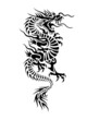 Drache Drachen Dragon Dragons Drache Drachen Dragon Dragons