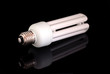 lampadina lampadina