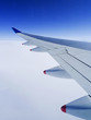 Dans l'avion