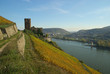 Ehrenfels 11