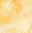Images : Feuerwerk
