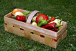 Peppers In A Basket