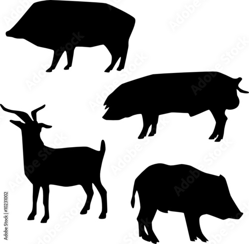silhouettes of animals. Animal+silhouettes+vector