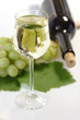 Wein mit Flasche