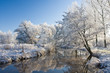 frost and a blue sky