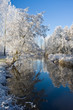 frost and a blue sky