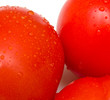 Foto: juicy fresh tomatoes. Vegetables are covered by drops of water. juicy fresh tomatoes. Vegetables are covered by drops of water.