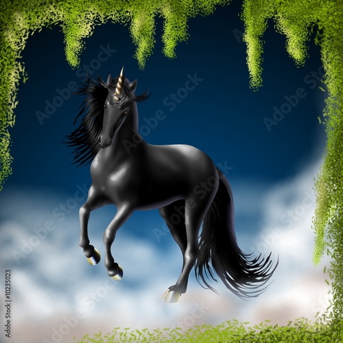 Illustration: unicorno nero unicorno nero