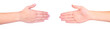 Two hands isolated on a white background.