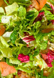 Fresh peppered salad