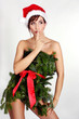Weihnachtsfrau sexy