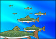 Poisson