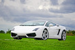 White high performance supercar in a meadow of golf club