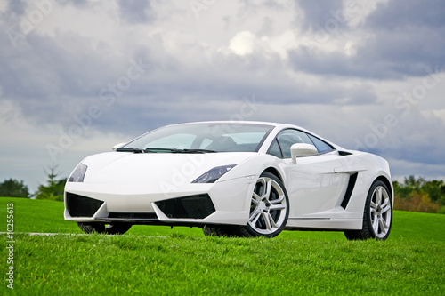 White high performance supercar in a meadow of golf club