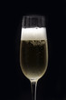 Foto: Schaumwein Schaumwein