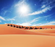 Caravan in Sahara desert