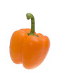 pepper, isolated object, white background pepper, isolated object, white background