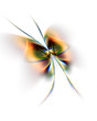 Abstract butterfly