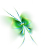 Abstract butterfly