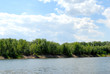 Wood on the coast of the quiet river