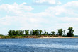 Wood on the coast of the quiet river