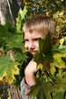 Boy with leaves