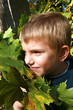 Boy with leaves