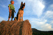 Boy with big dog on meadow
