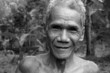 Foto: portrait d'ancien guerrier iban bornéo portrait d'ancien guerrier iban bornéo