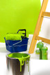 Green painting with ladder, roller brush, bucket, pigments